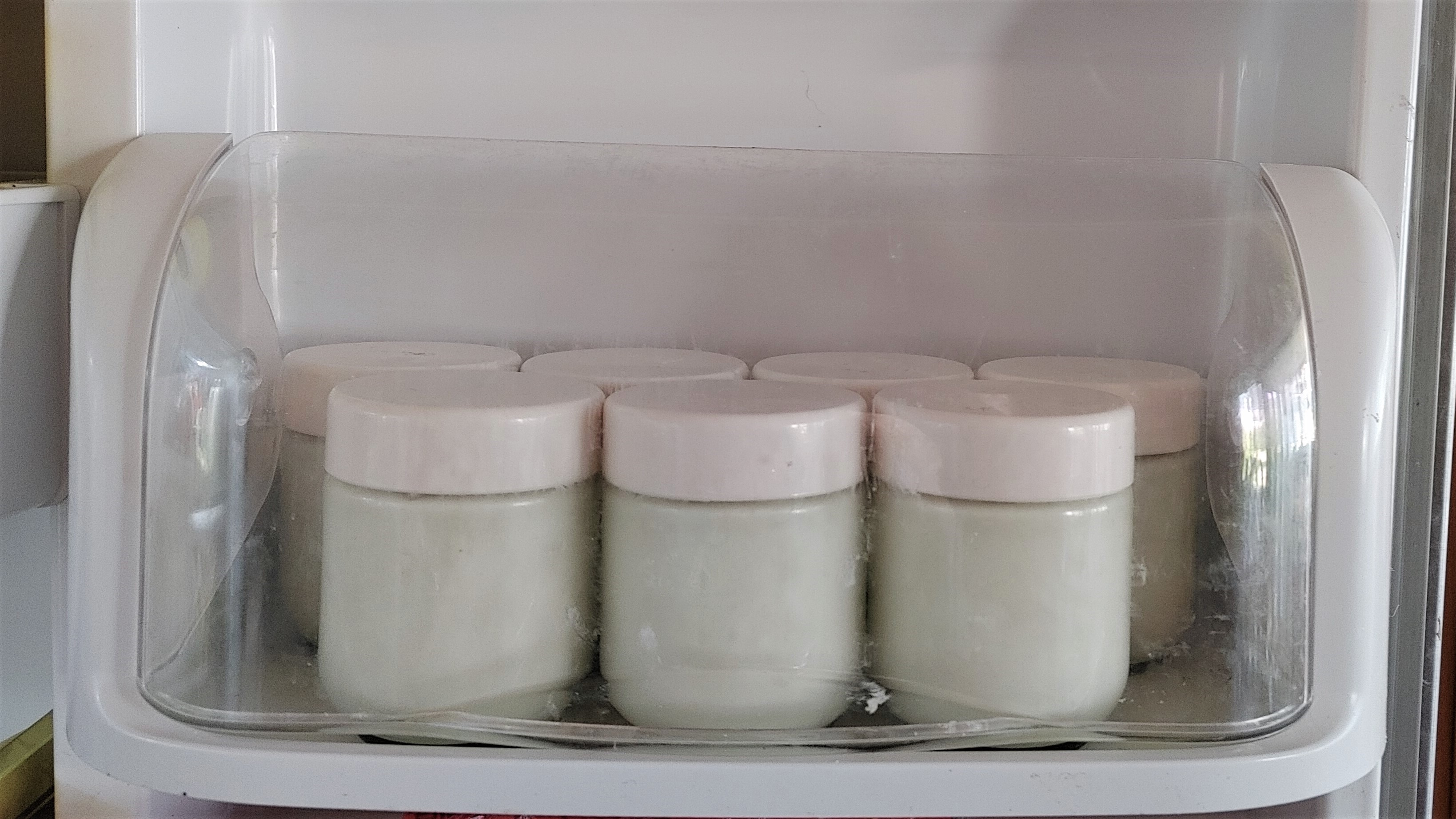 Yogurt in the fridge