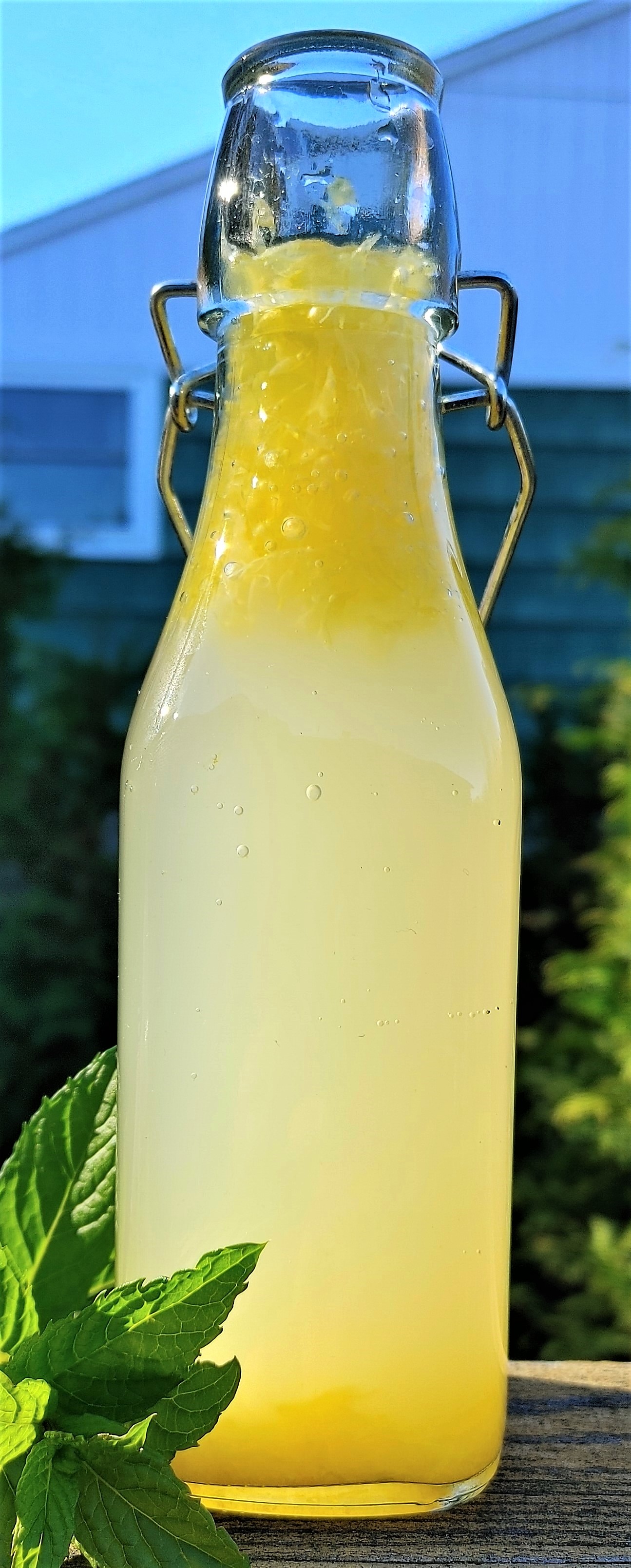 Homemade probiotic kefir soda
